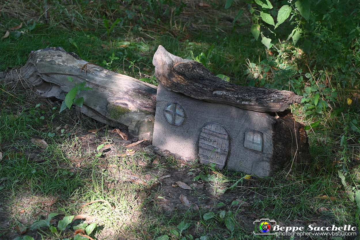 VBS_4818 - Il bosco fatato - Montaldo Roero.jpg
